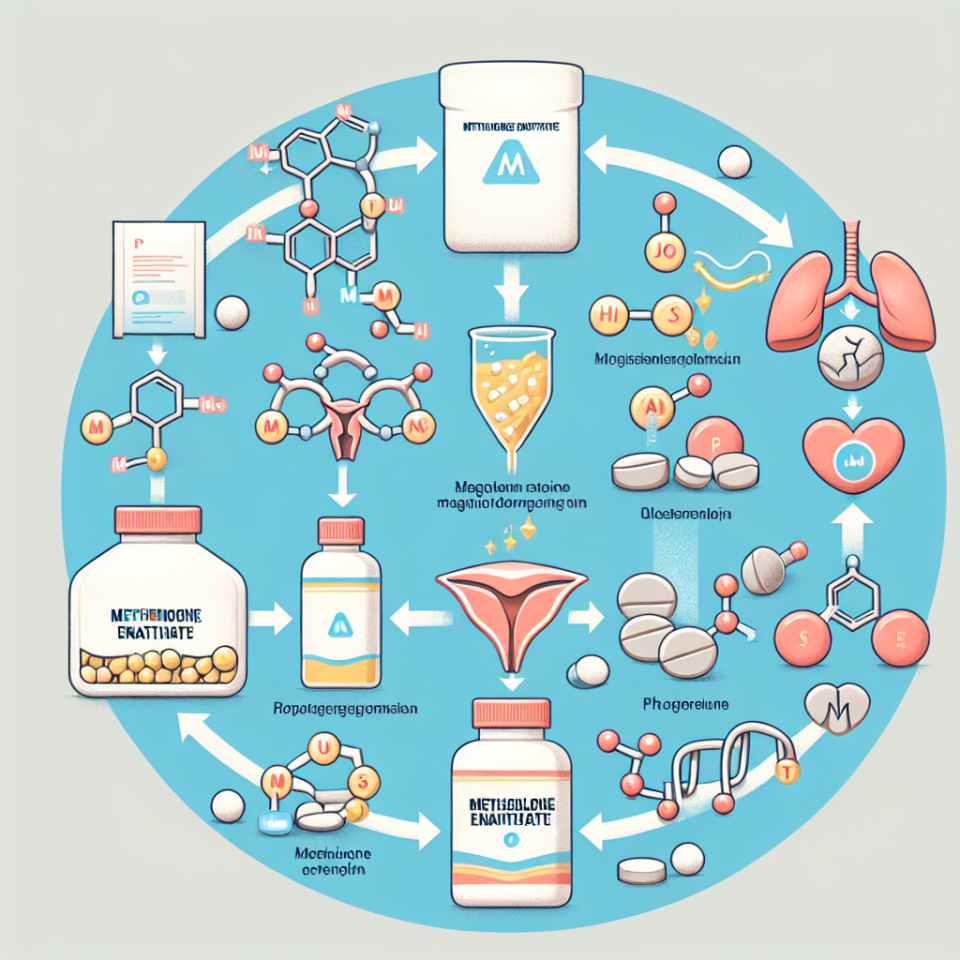 Cómo influye Enantato de metenolona en el metabolismo del magnesio